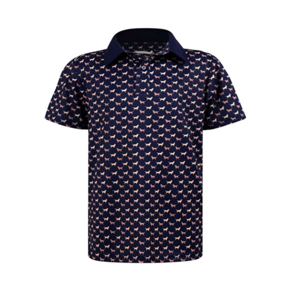 Лебеди Дублинские мальчики, играющие в гольф и поло